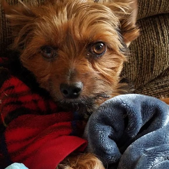 Meet your Posher, Gayle - Picture 1 of 1